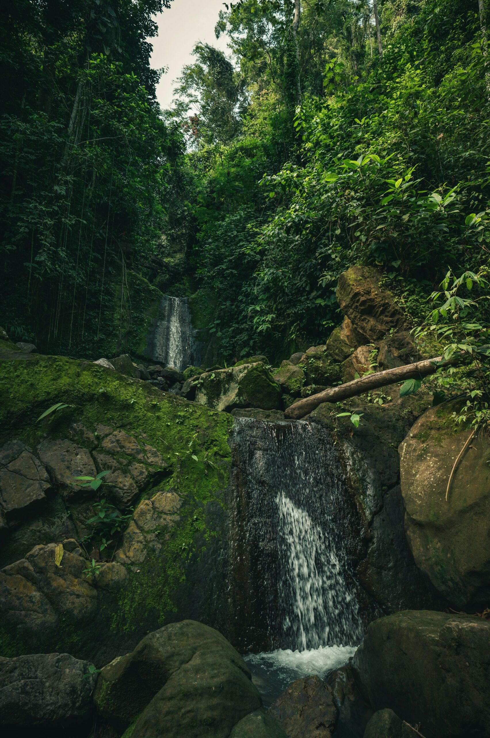 Conoce  el Amazonas