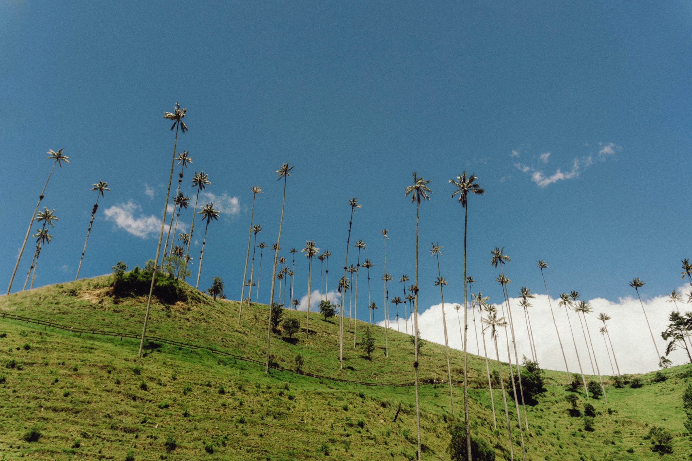 Descubre el Quindio por tierra